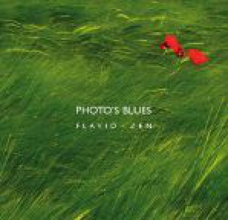PHOTO'S BLUES (19x19)